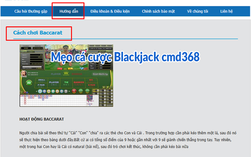 Cách cược Blackjack CMD368 - Kinh nghiệm quý báu từ bet thủ 3 Mẹo cá cược Blackjack cmd368